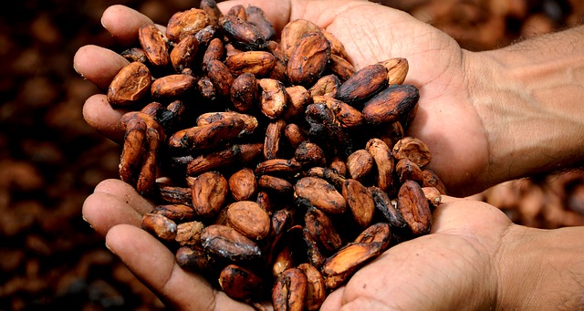 kakao v dlaních