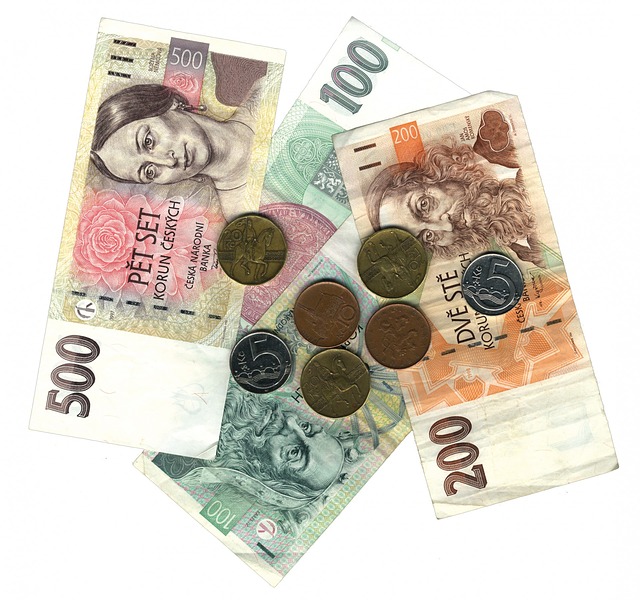 české bankovky a mince.jpg